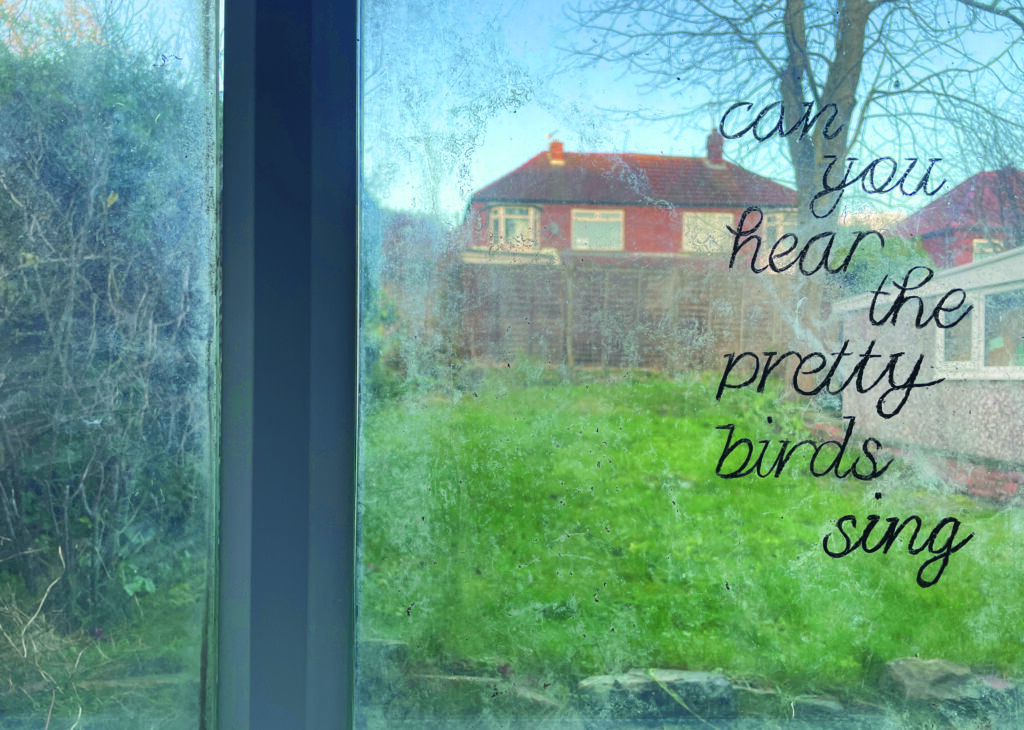 Michelle Duxbury, 'can you hear the pretty birds sing', 2024