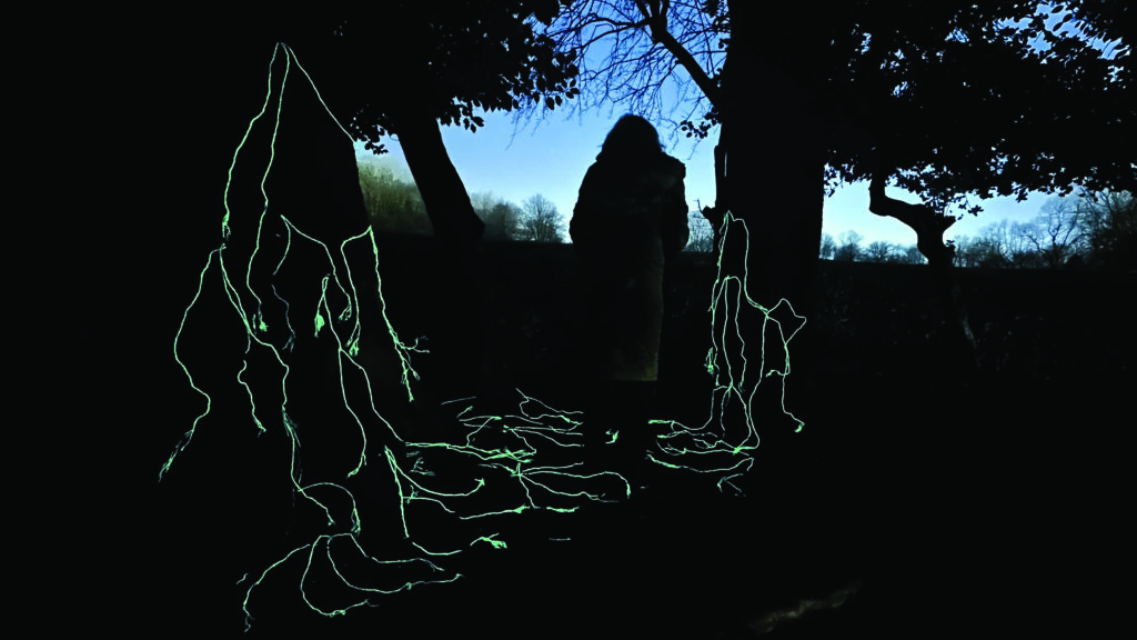 A night time installation view of the artist's work in situ in the woodland.