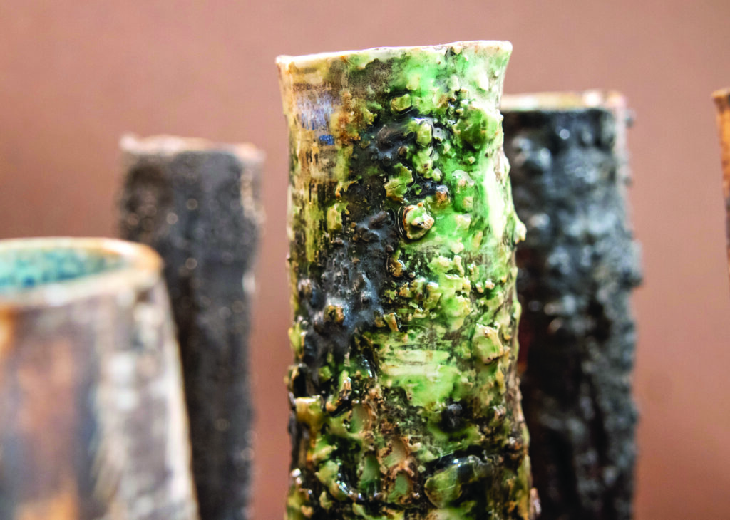 Jessie Davies, 'forest, regrowth from fire', 2024